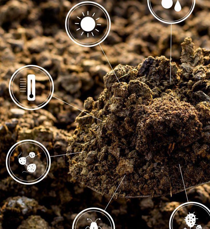 WhatsApp Image 2025-12-24 at 5.19.33 PM (1)